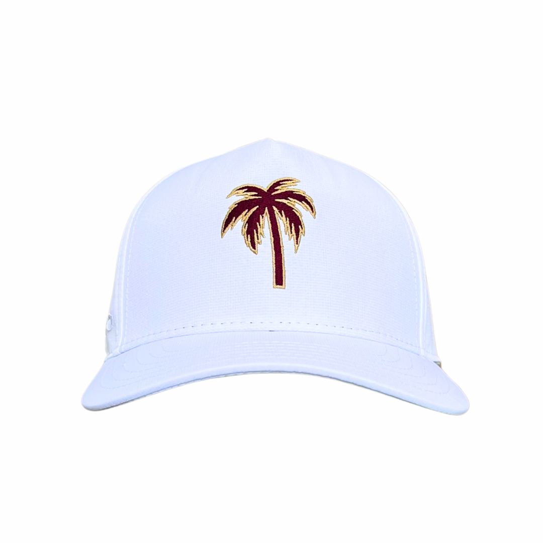 Game Day Palms Snapback