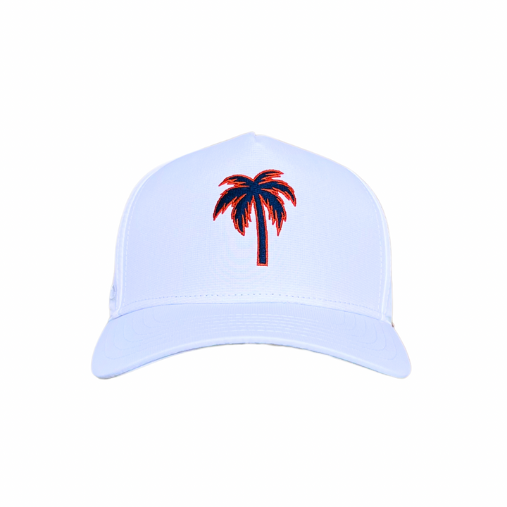 Game Day Palms Snapback